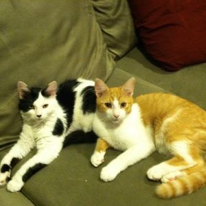 Meet your Posher, Maura